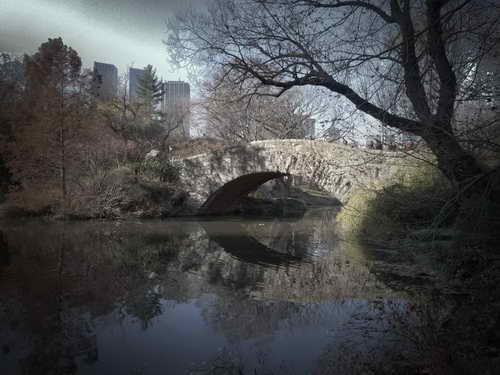 NYC_2012-11-22 13-19-52_P1070530